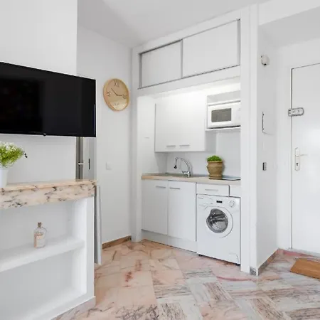Sea View Penthouse Romana Playa Elviria Apartment *